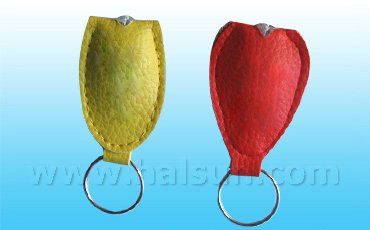 Keyring Light_ HSMPF423